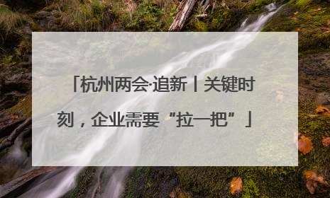 杭州两会·追新丨关键时刻，企业需要“拉一把”