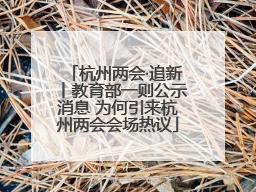 杭州两会·追新丨教育部一则公示消息 为何引来杭州两会会场热议