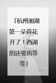 杭州湘湖第一朵荷花开了！西湖的还要再等等