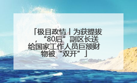 极目政情丨为获提拔，“80后”副区长送给国家工作人员巨额财物被“双开”