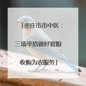 枣庄市市中区：三项举措做好夏粮收购为农服务