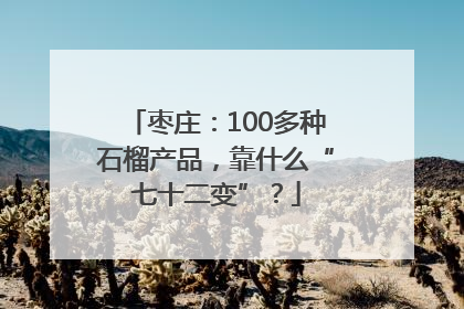枣庄：100多种石榴产品，靠什么“七十二变”？