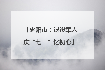 枣阳市：退役军人庆“七一”忆初心