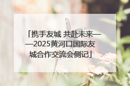 携手友城 共赴未来——2025黄河口国际友城合作交流会侧记