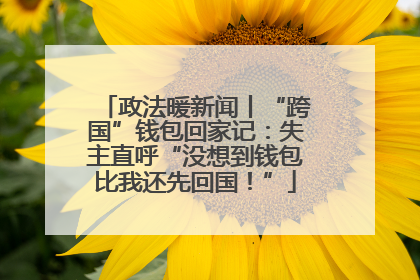 政法暖新闻丨“跨国”钱包回家记：失主直呼“没想到钱包比我还先回国！”