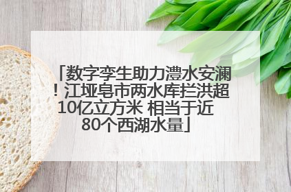数字孪生助力澧水安澜！江垭皂市两水库拦洪超10亿立方米 相当于近80个西湖水量