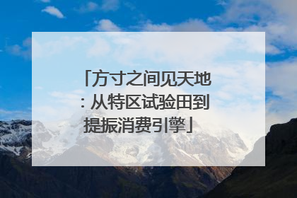 方寸之间见天地：从特区试验田到提振消费引擎