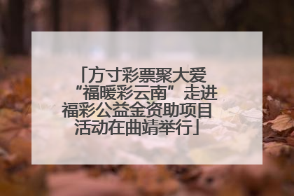 方寸彩票聚大爱 “福暖彩云南”走进福彩公益金资助项目活动在曲靖举行