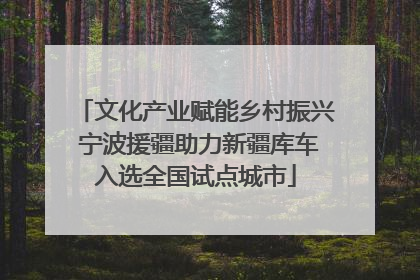文化产业赋能乡村振兴 宁波援疆助力新疆库车入选全国试点城市
