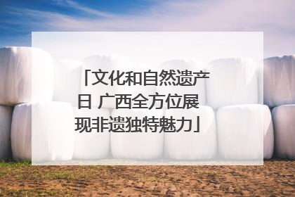 文化和自然遗产日 广西全方位展现非遗独特魅力