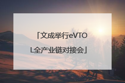 文成举行eVTOL全产业链对接会