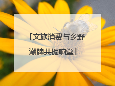 文旅消费与乡野潮牌共振响堂