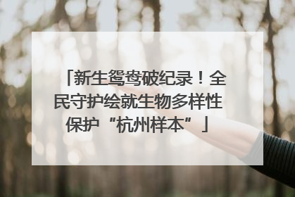 新生鸳鸯破纪录！全民守护绘就生物多样性保护“杭州样本”