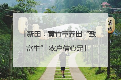 新田：黄竹草养出“致富牛” 农户信心足