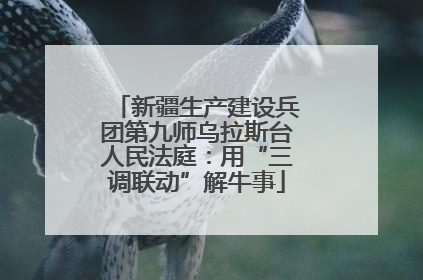 新疆生产建设兵团第九师乌拉斯台人民法庭：用“三调联动”解牛事