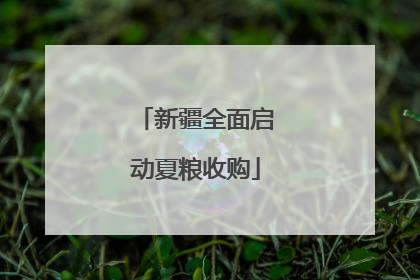 新疆全面启动夏粮收购