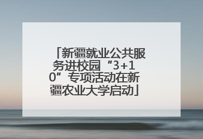 新疆就业公共服务进校园“3+10”专项活动在新疆农业大学启动