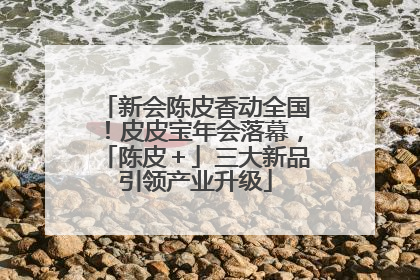 新会陈皮香动全国！皮皮宝年会落幕，「陈皮＋」三大新品引领产业升级