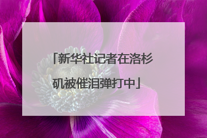 新华社记者在洛杉矶被催泪弹打中