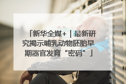 新华全媒+｜最新研究揭示哺乳动物胚胎早期器官发育“密码”