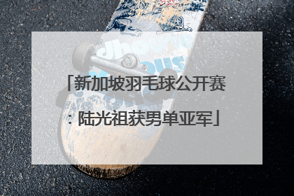 新加坡羽毛球公开赛：陆光祖获男单亚军