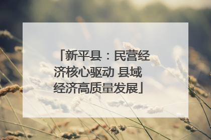 新平县：民营经济核心驱动 县域经济高质量发展