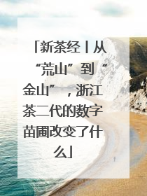 新茶经丨从“荒山”到“金山”，浙江茶二代的数字苗圃改变了什么