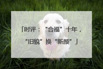 时评：“合福”十年，“旧貌”换“新颜”