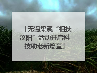 无锡梁溪“相扶溪阳”活动开启科技助老新篇章