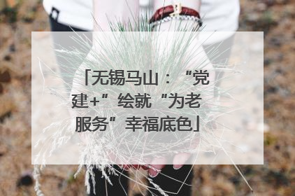 无锡马山：“党建+”绘就“为老服务”幸福底色