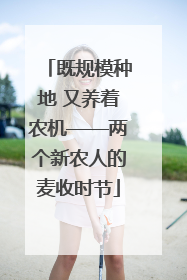 既规模种地 又养着农机——两个新农人的麦收时节