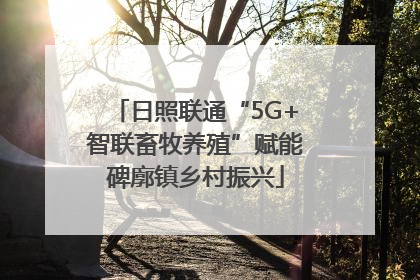 日照联通“5G+智联畜牧养殖”赋能碑廓镇乡村振兴