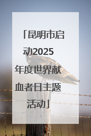 昆明市启动2025年度世界献血者日主题活动