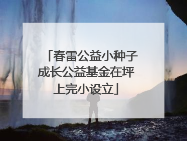 春雷公益小种子成长公益基金在坪上完小设立
