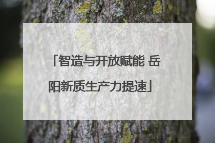 智造与开放赋能 岳阳新质生产力提速
