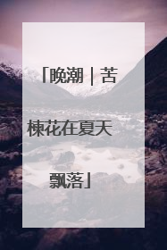 晚潮｜苦楝花在夏天飘落