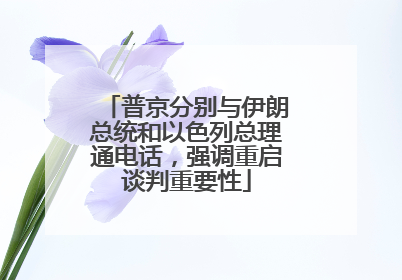 普京分别与伊朗总统和以色列总理通电话，强调重启谈判重要性