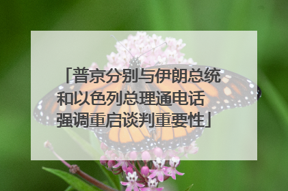 普京分别与伊朗总统和以色列总理通电话 强调重启谈判重要性