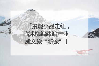 景观小品走红，临沭柳编藤编产业成文旅“新宠”