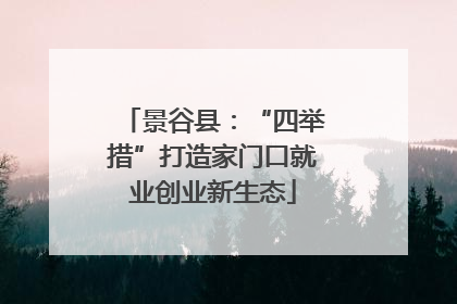 景谷县：“四举措”打造家门口就业创业新生态