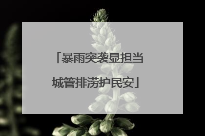 暴雨突袭显担当 城管排涝护民安
