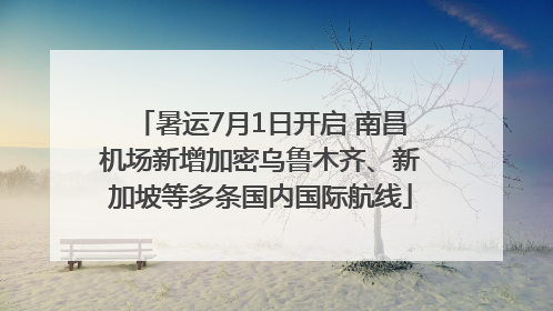 暑运7月1日开启 南昌机场新增加密乌鲁木齐、新加坡等多条国内国际航线