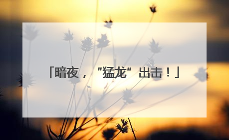 暗夜，“猛龙”出击！