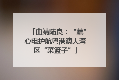 曲靖陆良：“蔬”心电护航粤港澳大湾区“菜篮子”