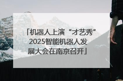 机器人上演“才艺秀” 2025智能机器人发展大会在南京召开