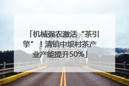 机械强农激活“茶引擎”！清镇中坝村茶产业产能提升50%