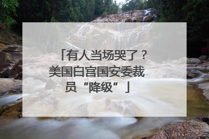 有人当场哭了？美国白宫国安委裁员“降级”