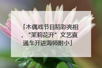 木偶戏节目精彩亮相，“茉莉花开”文艺直通车开进海师附小