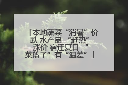 本地蔬菜“消暑”价跌 水产品 “赶热” 涨价 宿迁夏日 “菜篮子”有“温差”