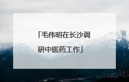 毛伟明在长沙调研中医药工作